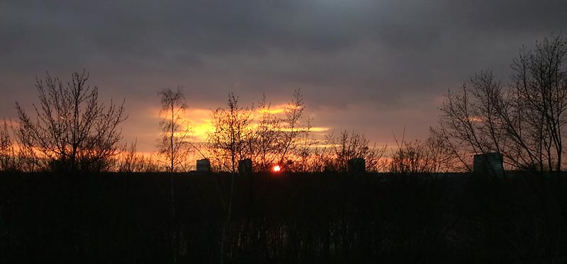 Blick aus dem Fenster?