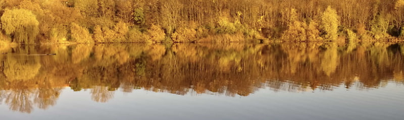 Herbstfarben in Thekla